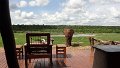 Elefant Hide out Ivory Lodge